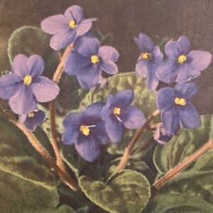 Make Your Other Clothes Jealous!!!💟